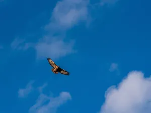 DSCN3443