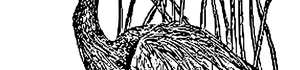spa_logo