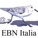 logo_ebn_reg